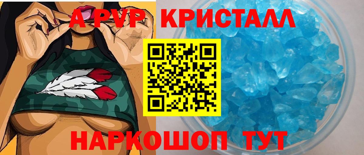 как найти наркотики  Альфа ПВП СК КРИС  Вход с VPN  Курчалой  APVP Соль 