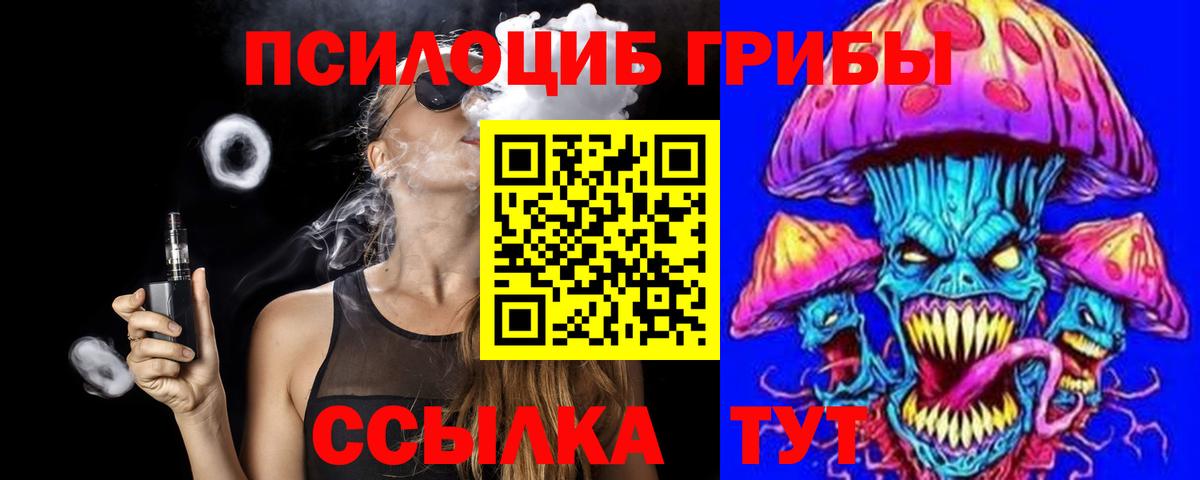 Псилоцибиновые грибы мицелий  Вход с VPN  Курчалой 